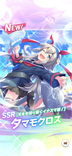 [SSRタマモクロス(スタミナ)]