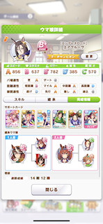 [エアグルーヴのステータス(サポート)]
