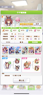 [ダイワスカーレットのステータス(サポート)]