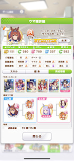 [ダイワスカーレットのステータス(サポート)]