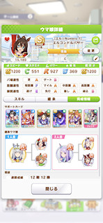 [エルコンドルパサーのステータス(サポート)]