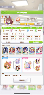 [ミホノブルボンのステータス(サポート)]