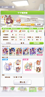 [ミホノブルボンのステータス(サポート)]
