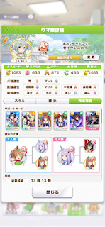 [セイウンスカイのステータス(サポート)]