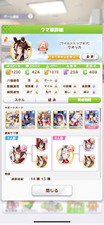 [ウオッカのステータス(サポート)]