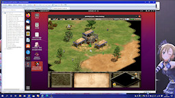 [Wine上で実行中の『Age of Empires II (AoK)』]