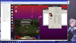 [Wine上で実行中の『Diablo II』]