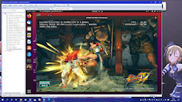 [Wine上で実行中の『STREET FIGHTER IV Benchmark』]