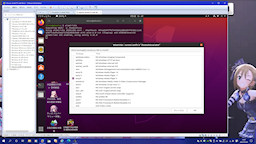 [SDHQの動作にはWMP9が必要]