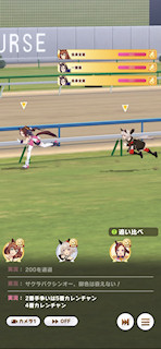 [第2レースの最終直線8]