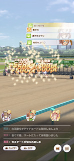 [第3レースのスタート]