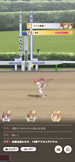 [第3レースのゴール]