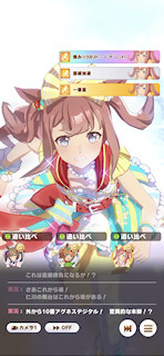 [第3レースの最終直線3]