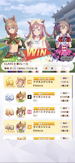 [第3レースの着順]