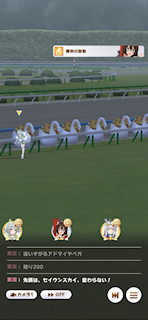 [第4レースの最終直線9]