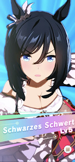 [第5レースの最終直線2]