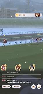 [第5レースの最終直線6]