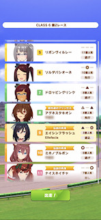 [第2レースの枠順]