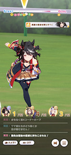 [第3レースの最終直線]