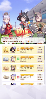 [第3レースの着順]