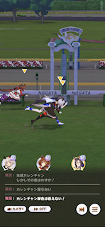 [第4レースのゴール]