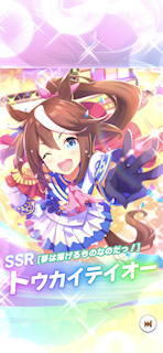 [SSRトウカイテイオー(スピード)]