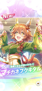 [SSRマチカネフクキタル(スピード)]