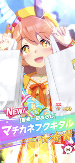 [★3新マチカネフクキタル]