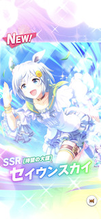 [SSRセイウンスカイ(スタミナ)]