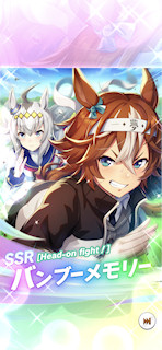 [SSRバンブーメモリー(パワー)]