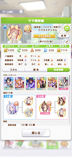 [アグネスデジタルのステータス(サポート)]