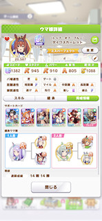 [ダイワスカーレットのステータス(サポート)]