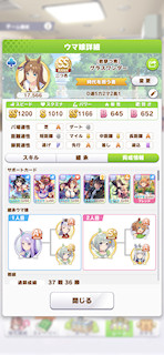 [グラスワンダーのステータス(サポート)]