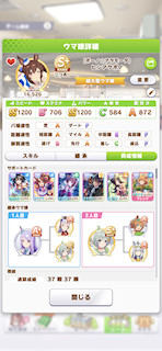 [ヒシアケボノのステータス(サポート)]