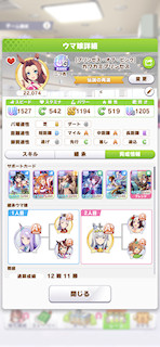 [カワカミプリンセスのステータス(サポート)]