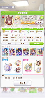 [新ミホノブルボンのステータス(サポート)]