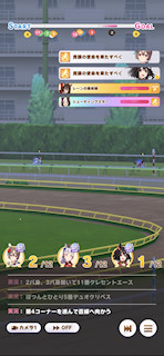 [第2レースの最終直線]
