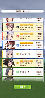 [第2レースの枠順]