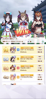 [第3レースの着順]