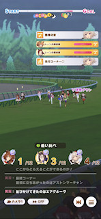 [第4レースの最終直線]