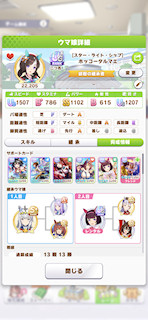 [ホッコータルマエのステータス(サポート)]