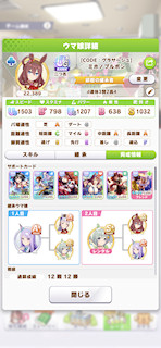 [新ミホノブルボンのステータス(サポート)]