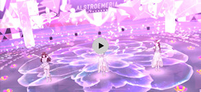 [『明日もBeautiful Day』のMV (iPhone 15 Pro 60FPS動画)]